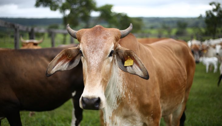 Vente et entretien matériel agricole